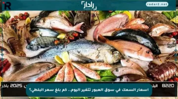 أسعار السمك في سوق العبور تتغير اليوم.. كم بلغ سعر البلطي؟